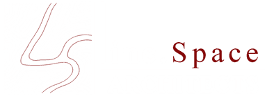 line.Space Architects logo